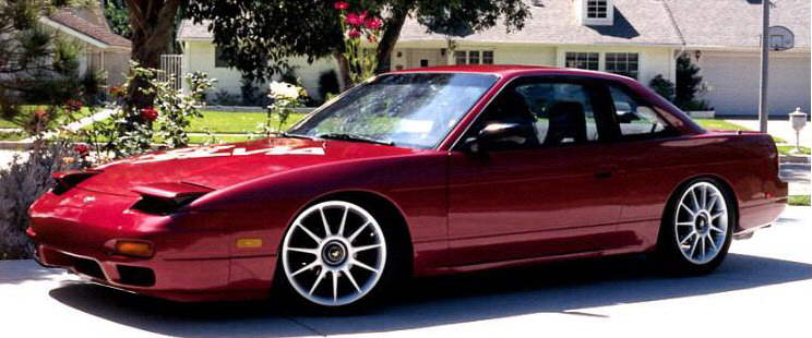 Maroon Sylvia
